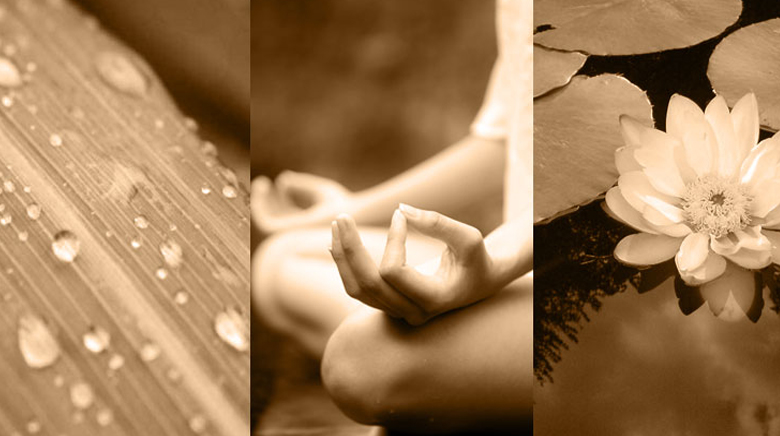 Yoga at Parma